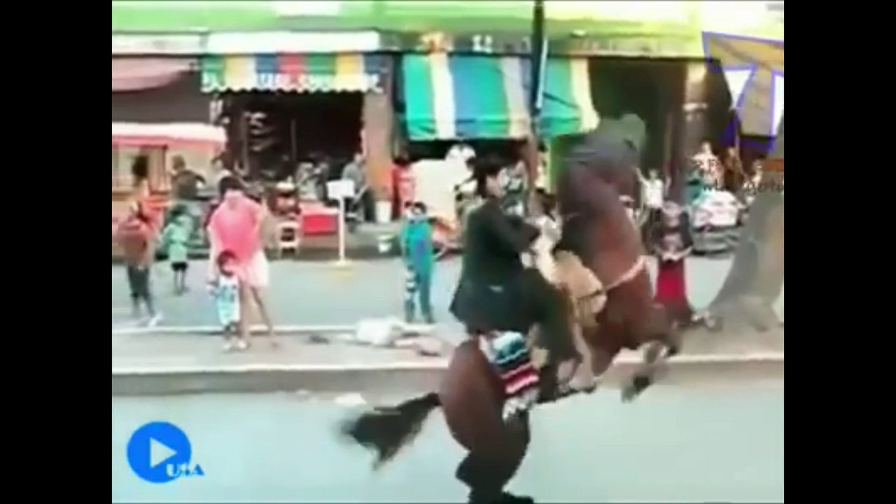 Funny Fall From Animals