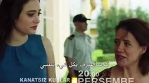 مسلسل طيور بلا اجنحة الحلقة 9 مترجم بالعربية