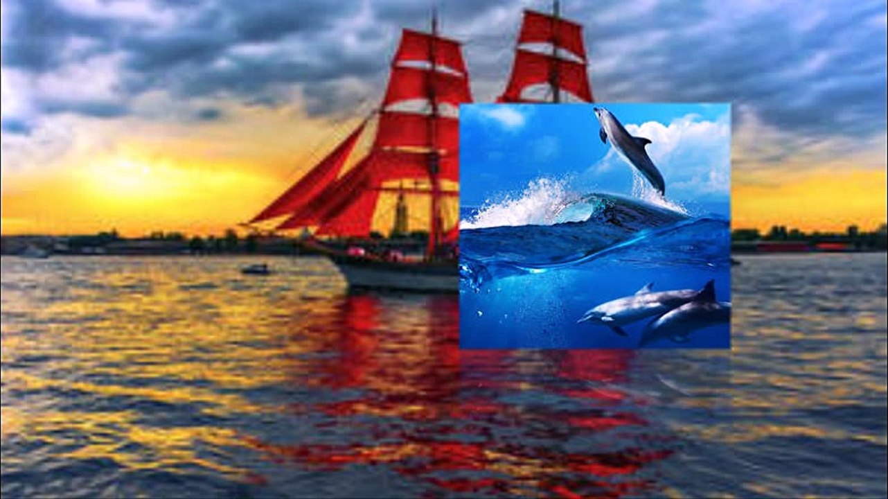 Dauphins