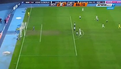 Botafogo RJ	3-3	Sao Paulo 29.07.2017