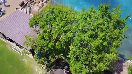 Le mari a construit la piscine de ses rêves. 20 ans plus tard? Le résultat est tout simplement spectaculaire!