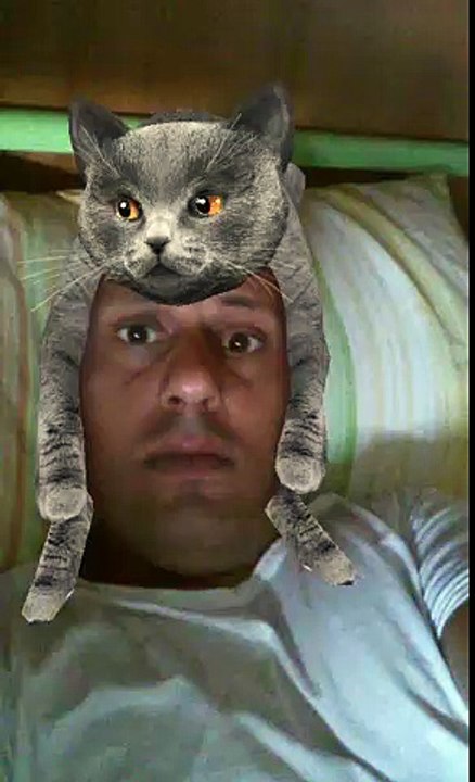Meaow