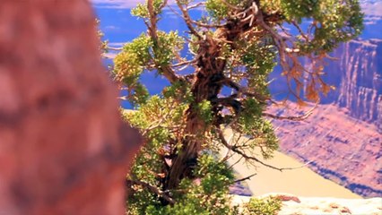 Atrium - Let Your Love Shine (Buddha Del Mar Bar Mix)