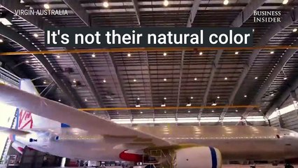 Here's why most planes are white