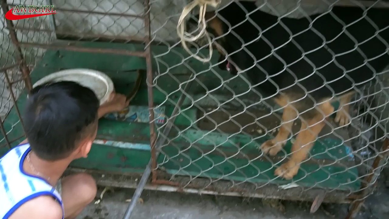 cậu bé dùng tay bắn rắn