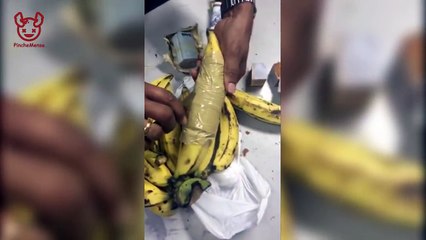 Compro unos plátanos y esto fue lo que encontró  !!