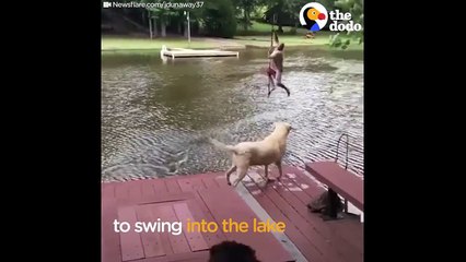 Dogs Jump Into Lake To 'Rescue' Dad - The Dodo