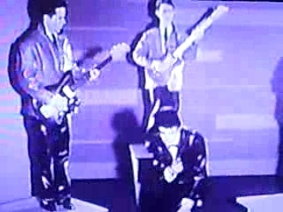 JOHNNY + LES CHATS ..2 VIDEOS