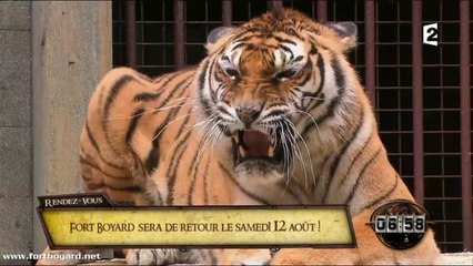 Fort Boyard 2017 : Pas d'émission le 5 août, retour le 12 août à 20h55 sur France 2 ! (version 1)