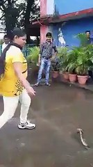 Brave Girl catch Snake