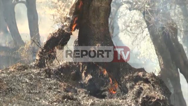 Report TV - Situata e zjarreve, EC: Në 24 orë 8 vatra aktive