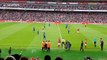 Pitch invader gets removed from ground during Emirates Cup match
