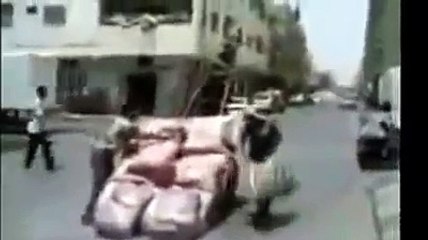 الحمارالطائر الله يعين رفقا بلحيوان