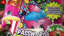 Password Diary DISNEY FROZEN Secret Voice Command Diary Little Wishes Kids Video Fun Toys