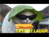 whatsapp funny videos try not laugh chllange2017||chinese most funny videos 2017