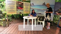 Fernando de Noronha, santuario de la naturaleza