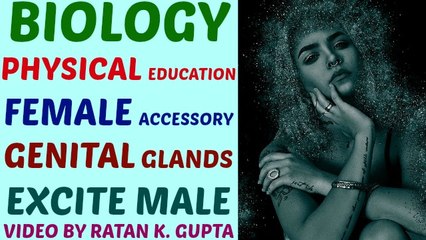 female accessory genital glands