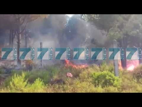 ZJARRET SHKAKTOJNE DEME TE MEDHA NE SIPERFAQET PYJORE - News, Lajme - Kanali 13