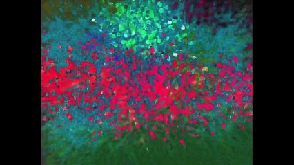 The Wiggles - Theme Song (Horror Version)