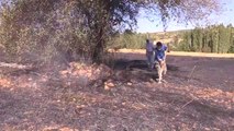 Uşak'ta Tarım Arazisinde Yangın