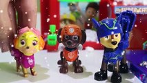 Niños para patrulla cachorro contra la colección del flash del dibujo animado del perrito de juguete brotes de patrulla milagro