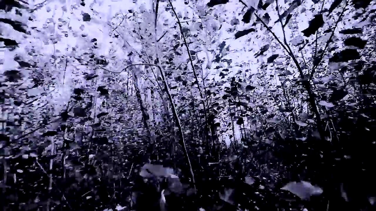 Fetish - Little Heart (Official Video) - SDC RADIOWORKS