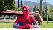 Héros dans vie réal homme araignée super-héros vidéo contre T-rex |