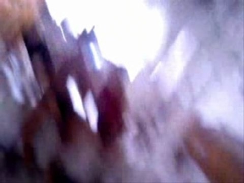 Mr. Tofick: a dents de sabre