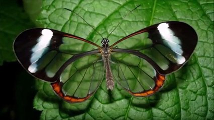 10 geheime ANDROID Funktionen, die du kennen musst