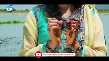 Pashto New Hd Songs 2017 - Cha Ta Stargay Tory Kram - Sameena Naaz