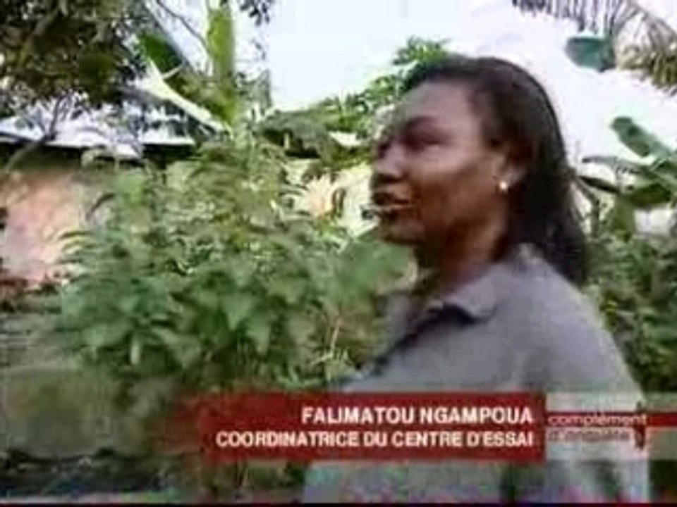 Sida l'Africa test 1/2