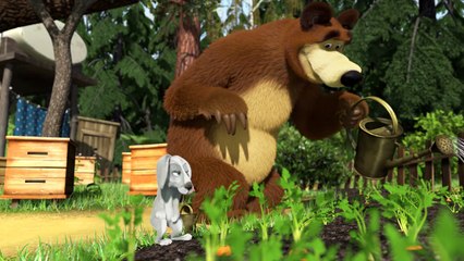 Dix et ours le le le le la Masha et le sommet Ours série la plus populaire de toutes les séries de Masha consécutives