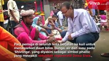 Ratusan Ular Kobra Minum Susu di Festival Nag Panchami