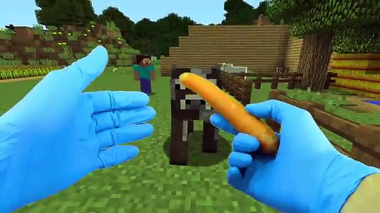 Naissance donne réaliste villageois minecraft