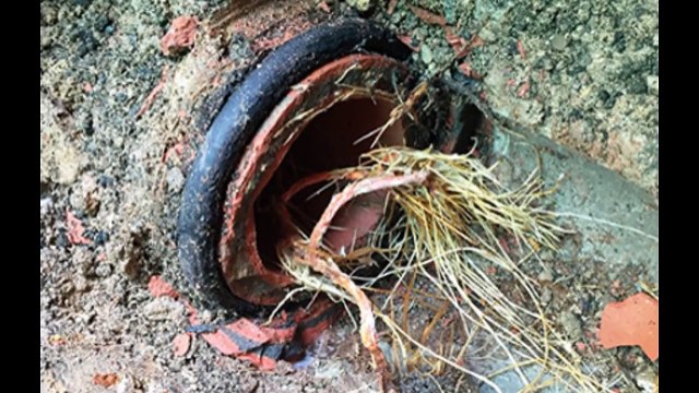 Αποφράξεις Βουλιαγμένη - 2109901999 - Apofraxeis Vouliagmeni