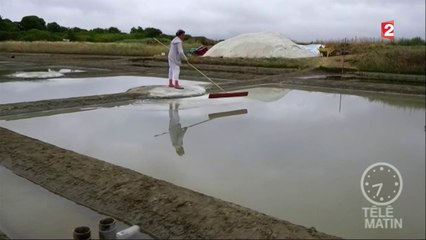Une autre école - Une école salée
