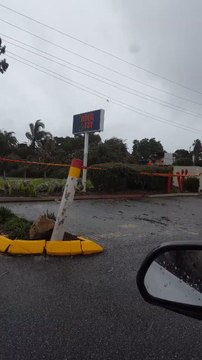 Severe Storm Knocks Down Trees in Perth