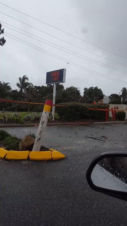 Severe Storm Knocks Down Trees in Perth