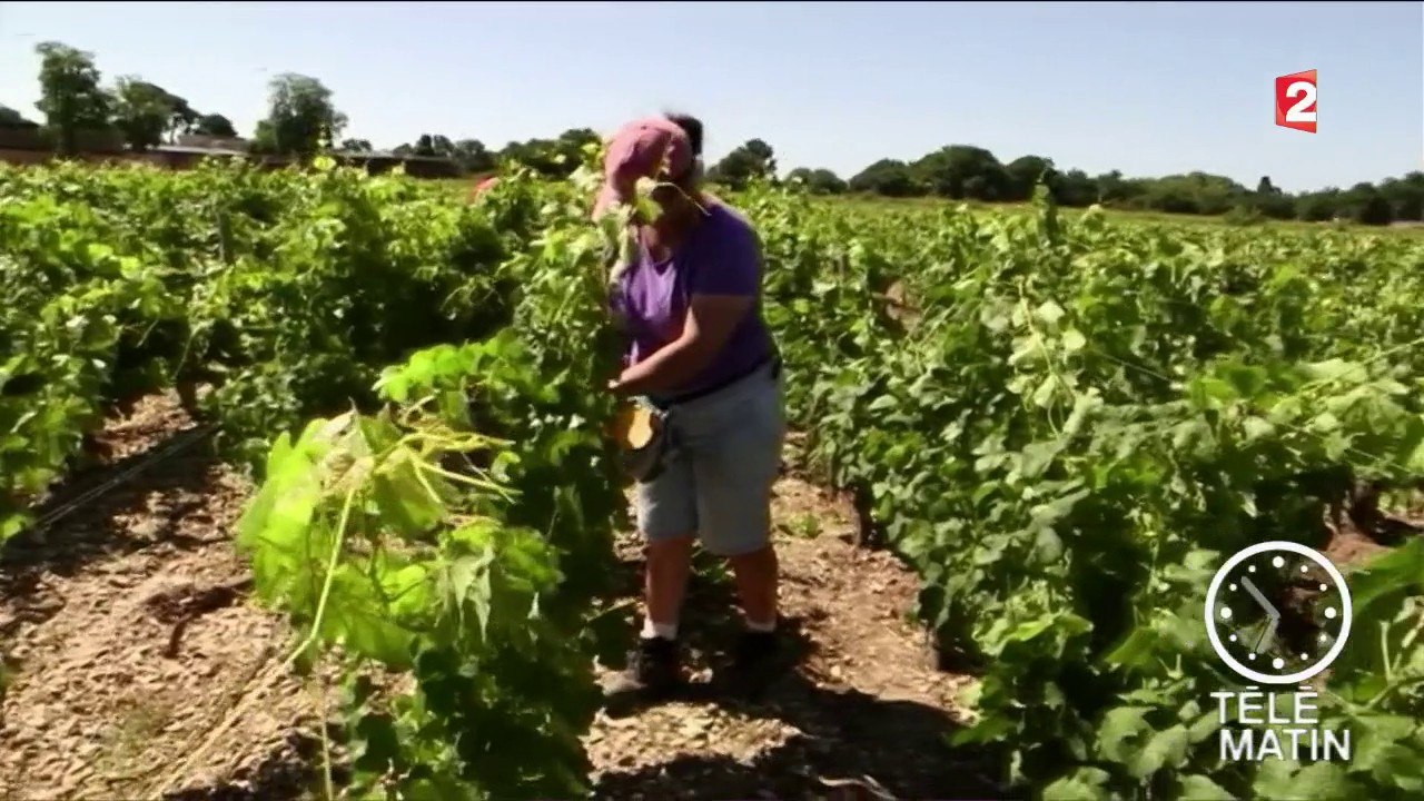 Emploi - Des expo-métiers itinérantes, au service de l’emploi