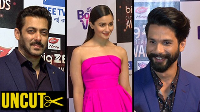 Salman Khan, Alia Bhatt, Shahid Kapoor And Other Stars At Big Zee Entertainment Awards 2017