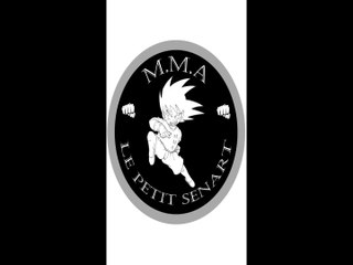 MMA - ITEP Petit Senart - Training 2017
