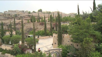 هذا الصباح- متنزه السكون.. متنفس أهل تعز اليمنية