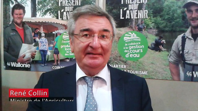 Wood’kit, un nouveau guide pour les mouvements de jeunesse