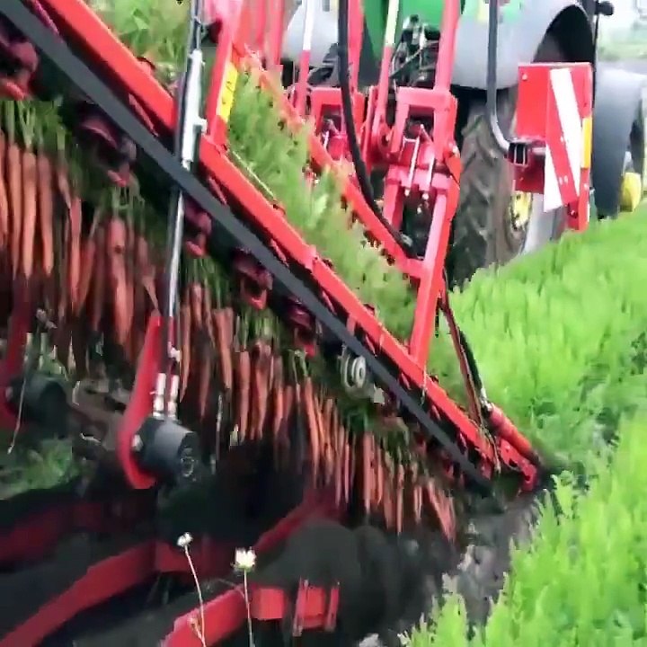 The Most Satisfying Video Ever