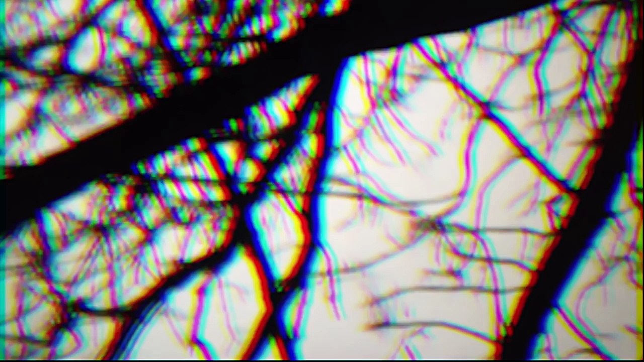 Chetta - Credence