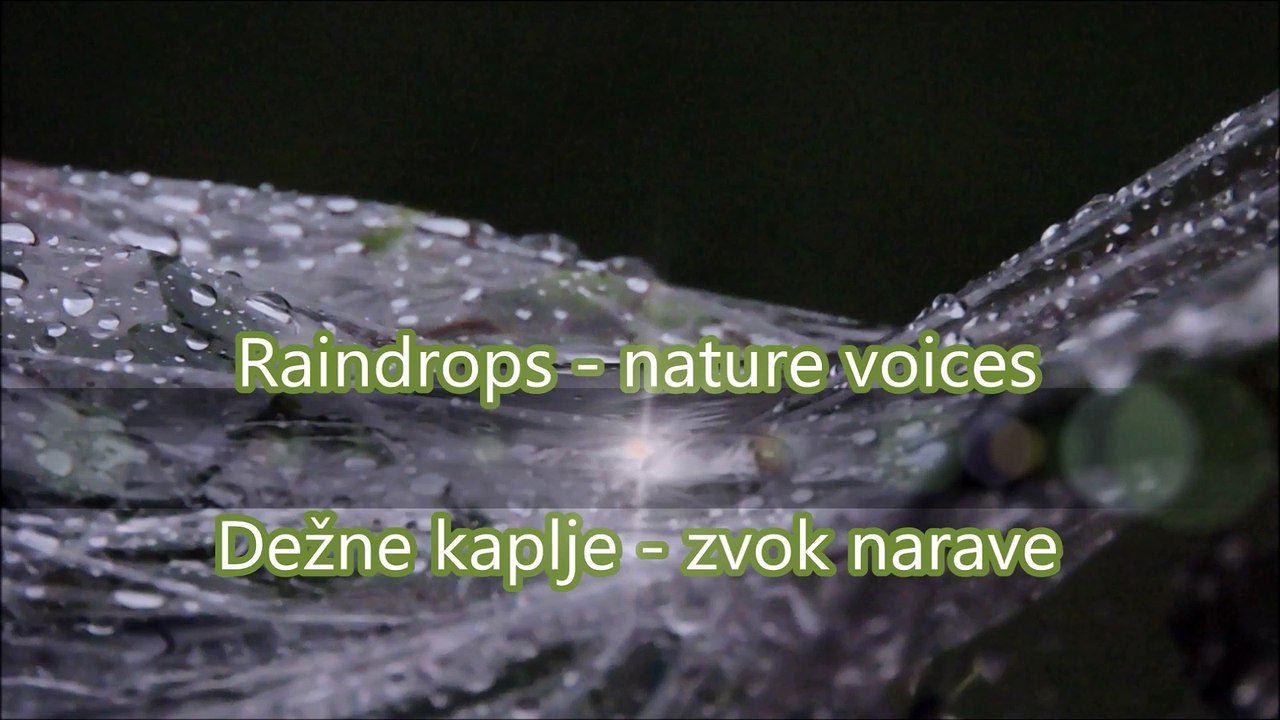 Raindrops- voices of nature