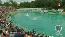 Le Marineland d'Antibes suspendu à une décision du Conseil d'État