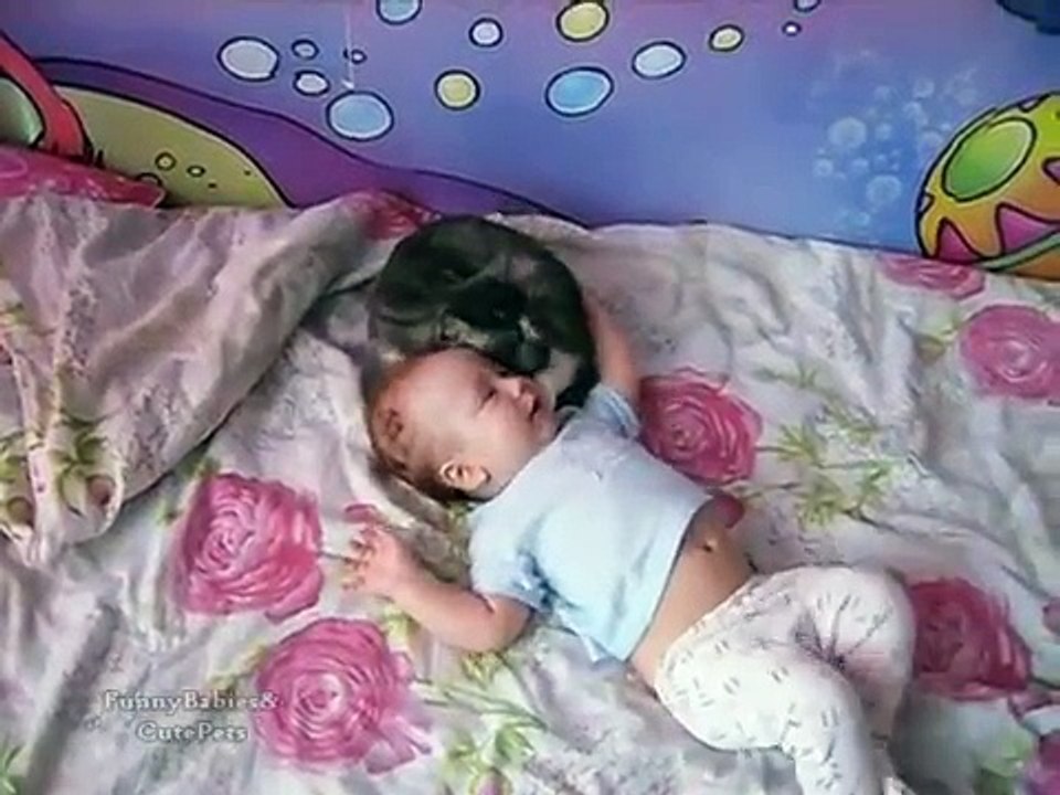 Le bébé commence à pleurer au lit d’une manière hystérique. Regardez la réaction rapide du chat
