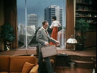 The Bob Newhart Show s03e16 - Tobin's Back in Town