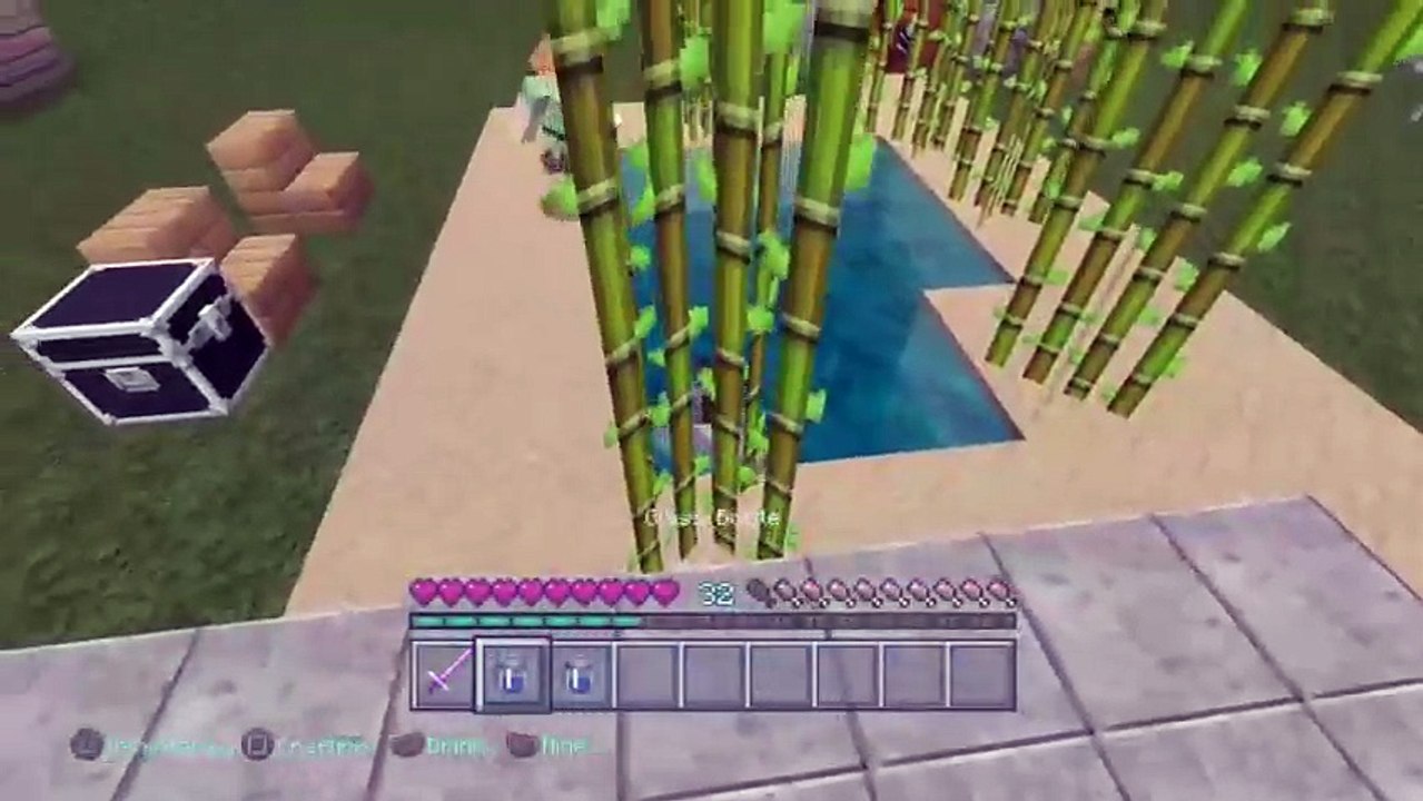 Diffusion PS4 en direct sur minercraf rp (27)